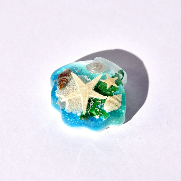 Seashell refrigerator magnet