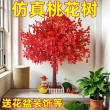 �����һ�����ͼ��Ҙ��̈���c�҃��쾰�b����������t���S�