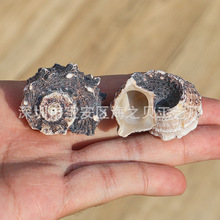 ��Ȼ����ؐ���ڿڈA�����~���쾰�b�Ʒ�ľ�з��Q���˱�1�����l