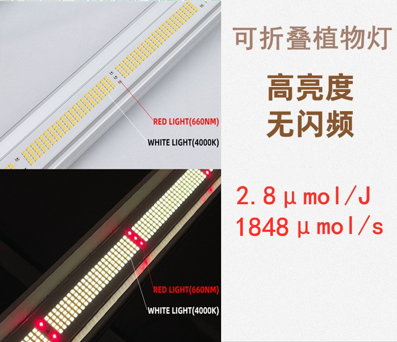 O1CN01a7xytx1PROK5JNKFL_!!2213