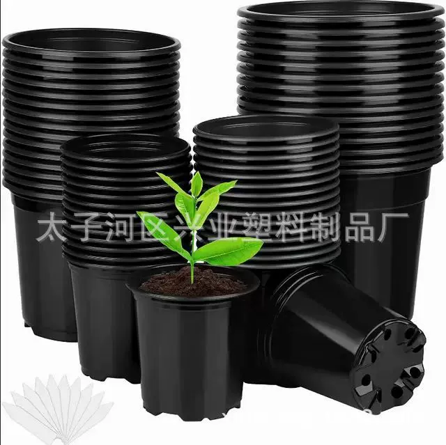 定制黑色双色育苗盆PP彩色塑料花盆摔不坏简易加厚大号多肉绿植