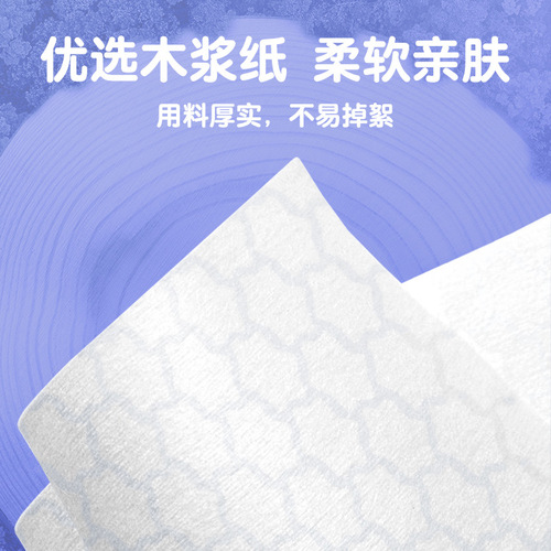 厂家湿厕纸 可冲马桶便携清洁屁屁大包装湿厕巾80抽消毒除菌湿巾