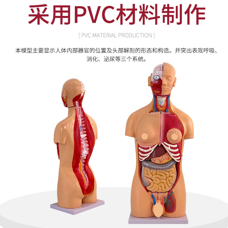 85CM���������ɿɲ��Ϊ23����������ģ�� ��������ģ�͸�����