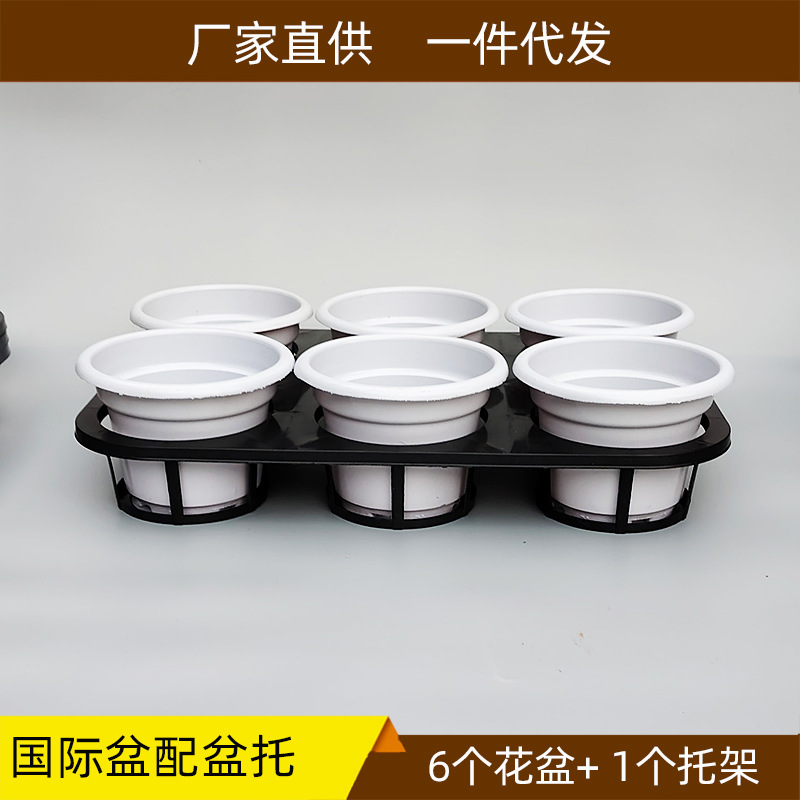 大六孔大口径蝴蝶兰托盘托架配国际花盆塑料绿色白色多肉花盆托盘