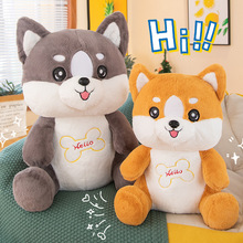 羳ëʿëq߹гżܛŮնY