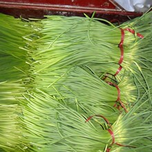 ���մ��k2026����l���⡢��޷��������죬�����S���[���t�����