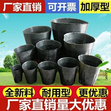 ��ľ�I�B������һ���Դ�������N���辰�Nֲ�ڰ�Ĥ�����Ѩ�P��