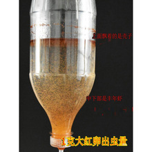 �мξ�Ʒ��t���S���r�u�x��  ���Ϳ�ȸ�߲ʼt����ˮ��ˮĸ�~���