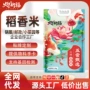 东北五常长粒大米