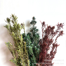 ���������G��ʯ�����������r���G��ʯ