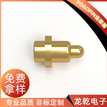 SҹpogopinS~僽 {ˢ|c̽