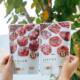 Diet Yuanze Hollow Hawthorn Semi-dried Golden Apricot Dried Hawthorn Ball Preserved Fruit Non-nuclear Separate Packaging Healthy Food for Children