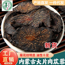 ������ɐ��С��ș�ĹŰ����ƴ�ܿ ��ɐ�ؾ����ŕ���ɐ��������Ƭ