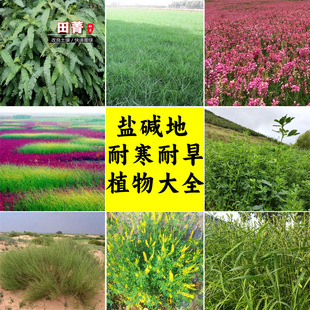 ���|�ݷN���ͺ������}�|�ر����|���|é��ɽ߅�;G�o�¹�������