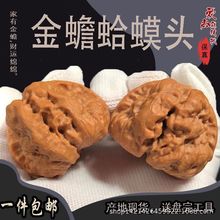 ����������Ȼ����ԭɫ�����^����朽Ӯa��ֱ�l�����μ��l