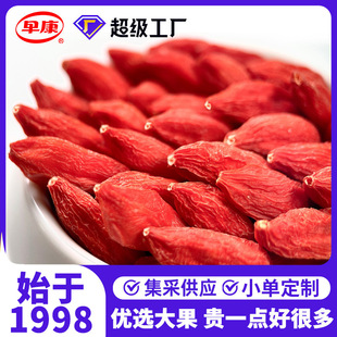 2025�؃�����簲�錎����轸�������lɢ���t���