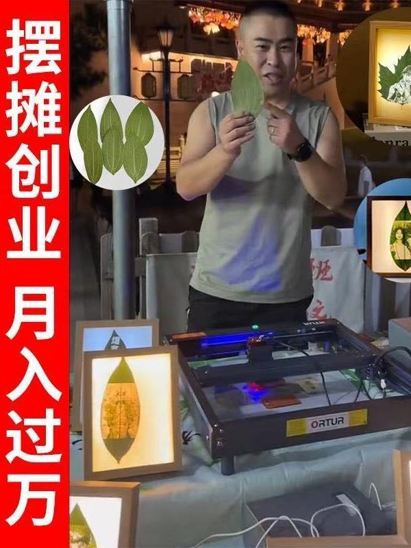 叶雕机树叶激光雕刻机小型全自动摆摊叶子打印照片机器激光打标机