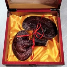 ľ`֥Ҏ |Lɽ`֥ `֥YbS؛oͬ