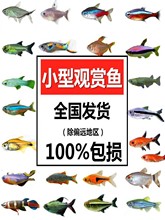 �ƿ�����̵����۵����ǵƱ����ƹ������Ǽ����ȴ�����׵�ˮ��