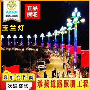 led Magnolia Light Municipal Engineering Square Landscape Light 8-12 m Scenic Spot Outdoor Light City Road Chinese Street Light