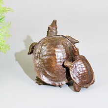 �������~С�����L�����[���ɐ��~�����ְѼ�С�~���茙�����b�