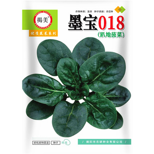 �s��ī��018ſ�ز��˷N�� ��G�A�~�����ſ�ز��� �߲˷N��5���b
