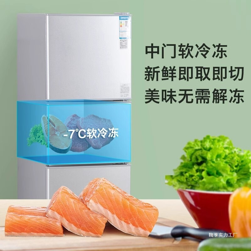 冰箱家用双门节能出租房省电无霜冷藏冷冻迷你|undefined