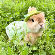 宠物兔 垂耳兔侏儒兔春天出游绿色复古公主裙子 牵引绳猫猫兔衣服