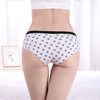 Pants, shorts, suitable for import, ebay, Amazon, wholesale