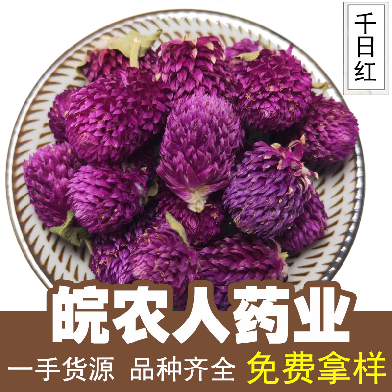 千日红500g克千日紫千日红紫花草茶泡茶火球花中药材大全代发批发