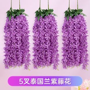 ��c�b������ٻ�̩���m���� �ڒ���涹���������ϻ��ٵ��