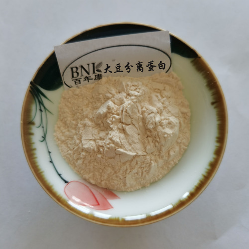 Soy Protein Isolate with 90% Soy Protein Content, Nutritional Fortifier, Soy Protein