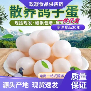 �����r��ɢ�B���ӵ� ���l30ö�I�B������r���������oʳ�����u��
