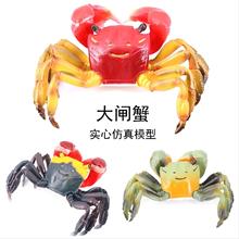 仿真实心海洋生物海底动物玩具模型青蟹 螃蟹 大闸蟹模型玩具摆件