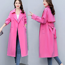 2026���¿��������Μp�g�߼���õ�tɫӢ���L���L��ϵ���L������Ů