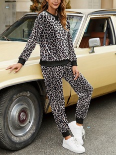 Women's Sweatsuits 2Pcs Outfits Pullover and Baggy Cross-Border