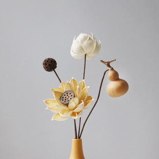 Ins Popular Dried Flower Bouquet Decorative Ornaments Natural Air-Dried Immortal Flowers Real Flowers Scandinavian Style Home Living Room Decorations