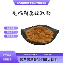 毛喉鞘蕊提取物50：1 水溶性食品级原料厂家现货量大优惠批发