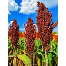 �t�t�ӼtŴ���U�����N�ӷN����ᄾƷN�˸߮a���쿹������s�Z�߰�