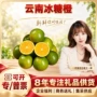云南特大新鲜商用冰糖橙