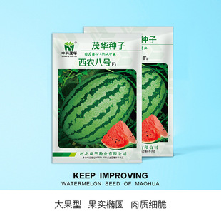 ï�A�� �߲�ˮ���N�� ���r��̖���ϷN�� ��Ƥ��� ���r��ͥԺ�b