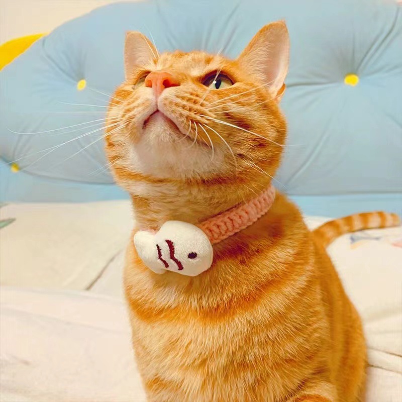 微信图片_20240711201051