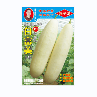 �߲˷N�ӏS�����l�����m����׸���1̖���S�ϷN�ӻ�����@¶��