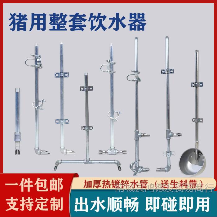 猪用饮水设备水嘴水管猪饮水管水碗母猪产床饮水器定位栏自动喂水