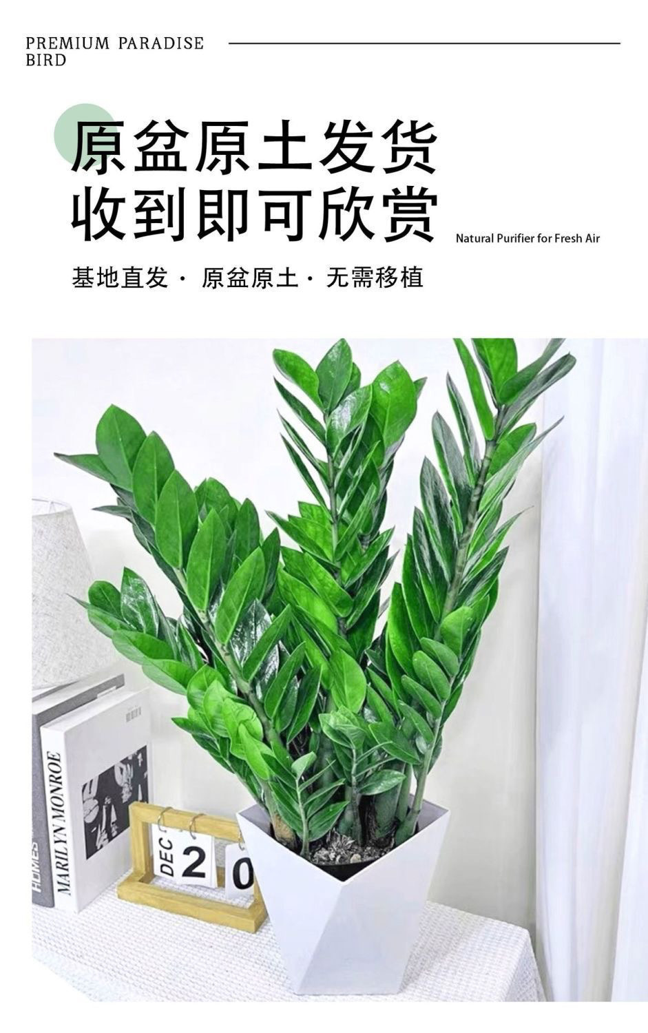 c85fe69c-fd19-46ff-8a4f-00ab4ac6354d.jpe