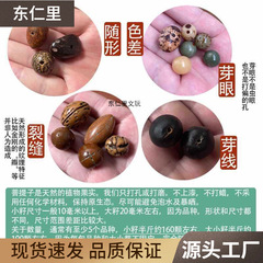 已打孔各类菩提子散珠 金刚凤眼龙眼木鱼果千眼菩提根手串念珠