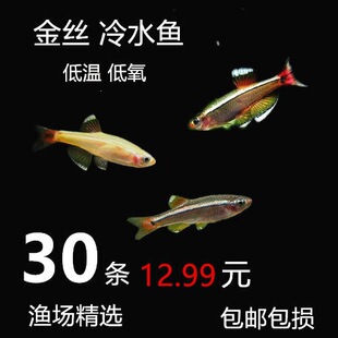 ��녽�z ���B����ˮ�~ ��ˮ�~ �^�p�~���~ ���첻�ӟ���B���]