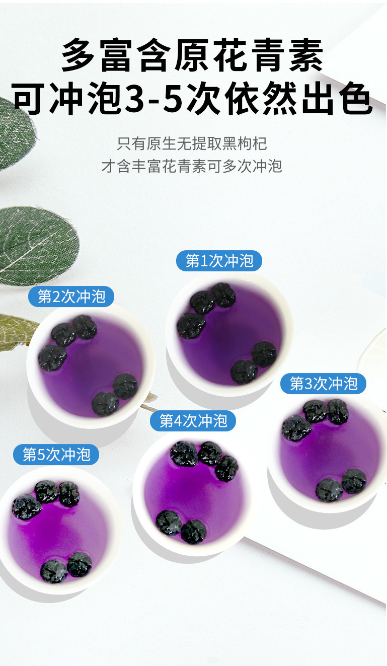 Qinghai Black Goji Berry Gift Box Large Dried Fruit for Tea and Wine Soaking 250g in use