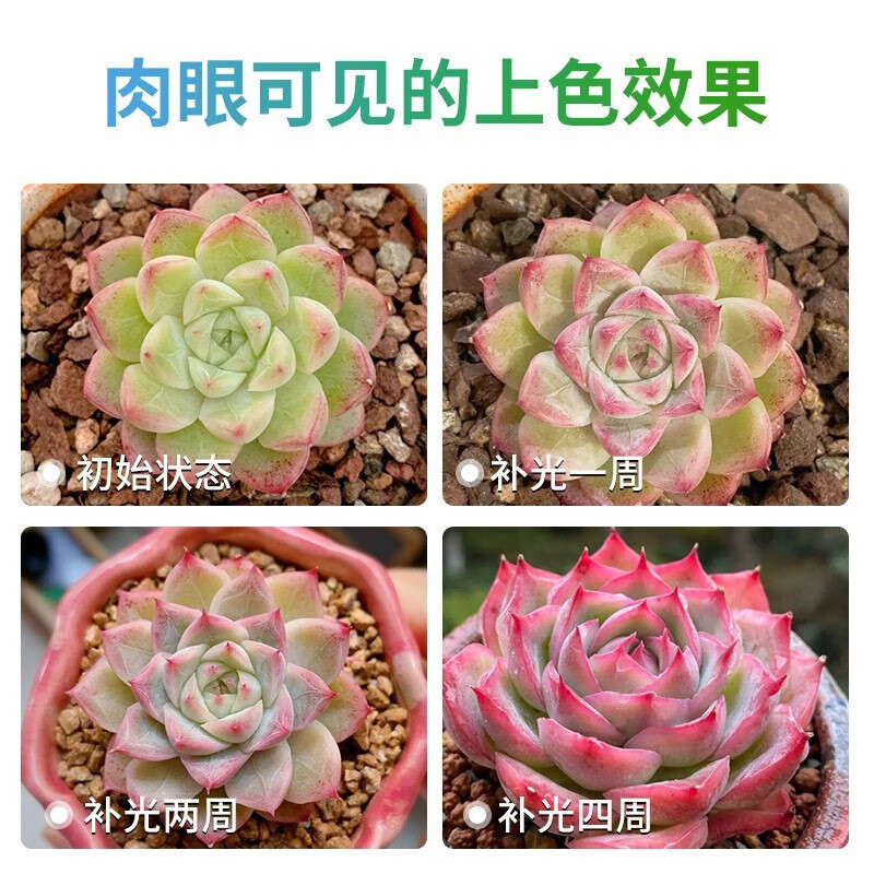 クロスボーダー LED 植物ライトフルスペクトルクリップリモコンタイミング植物成長ライト屋内植物多肉植物補助光|undefined