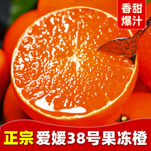 爱媛38号果冻橙橙子新鲜水果当季整箱10斤四川甜柑橘蜜5包邮